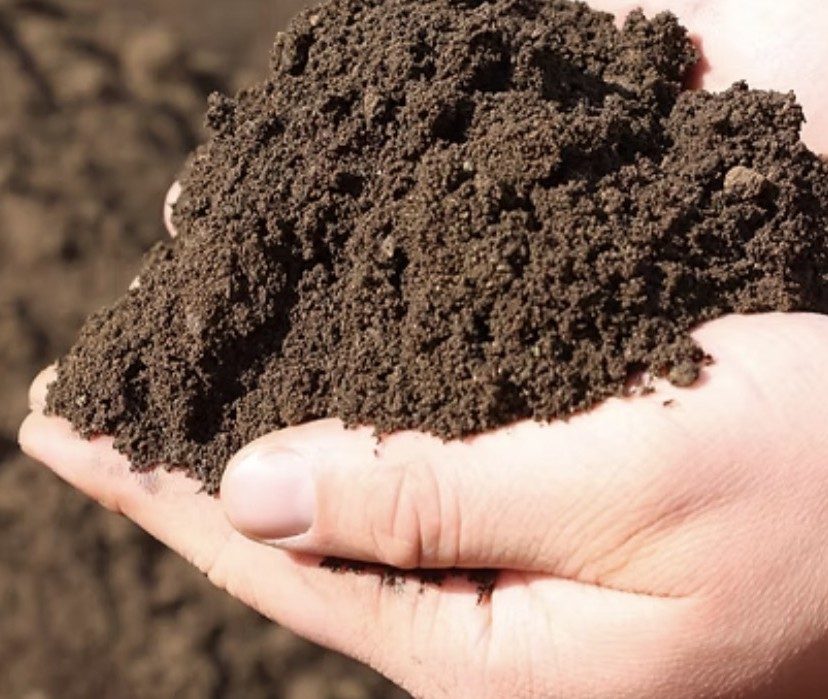 Rich soil material held in a hand, one of the materials Vans Land Hardscaping delivers