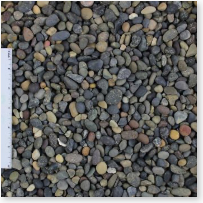 La Paz Pebbles, 1/4 to 1/2 inch, close up
