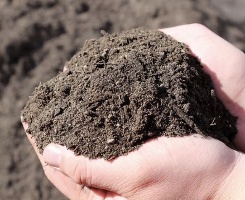 Topsoil Plus blended soil held in a hand
